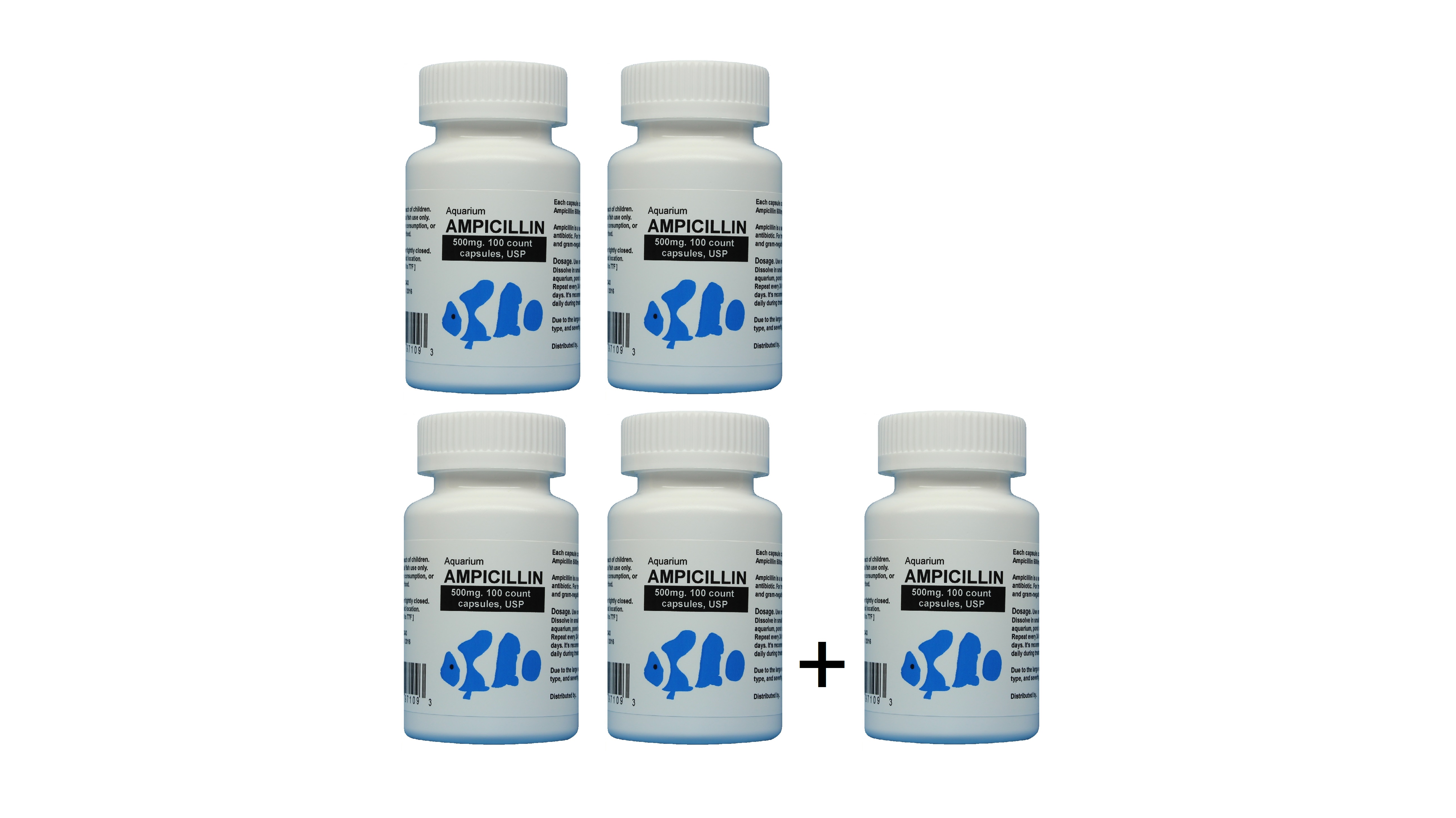 Ampicillin Online Buy