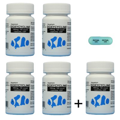 Doxycycline acquistare in linea